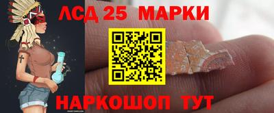 стаф Нальчик