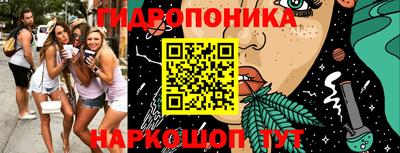 кокс Новодвинск