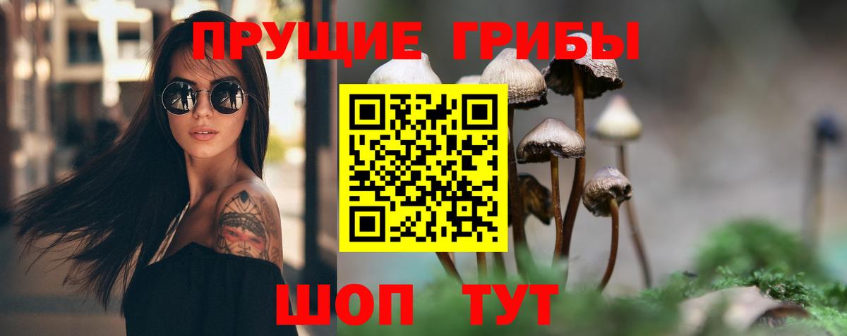 Псилоцибиновые грибы прущие грибы  Вход с VPN  Сарапул 